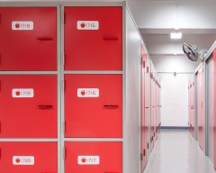 沙田 ‧ 10立方呎儲物櫃 (2'4"x2')