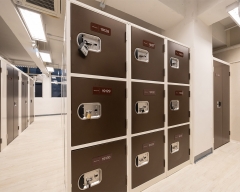 大埔 ‧ 11立方呎儲物櫃 (2'4"' x 2')